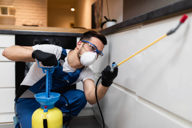Best Wildlife Control Services  in East Hemet, CA