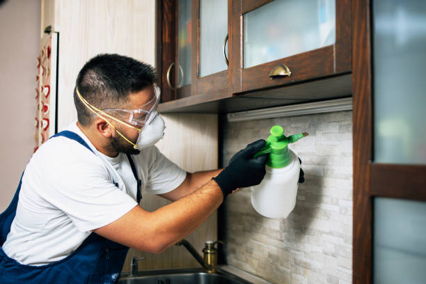 Best Pest Inspection Near Me  in East Hemet, CA