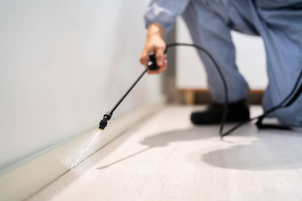 Best Pest Prevention Services  in East Hemet, CA