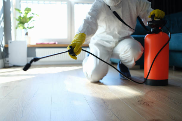 Best Affordable Pest Control Services  in East Hemet, CA